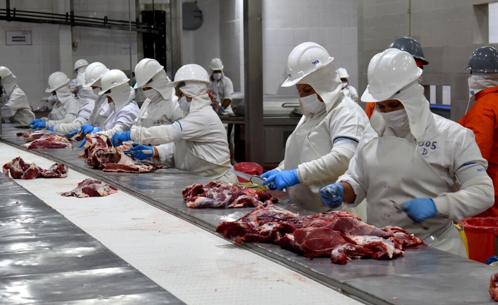 Carne bovina es la responsable del 80% de los ingresos por el comercio exterior pecuario, señalan. Foto: Archivo.