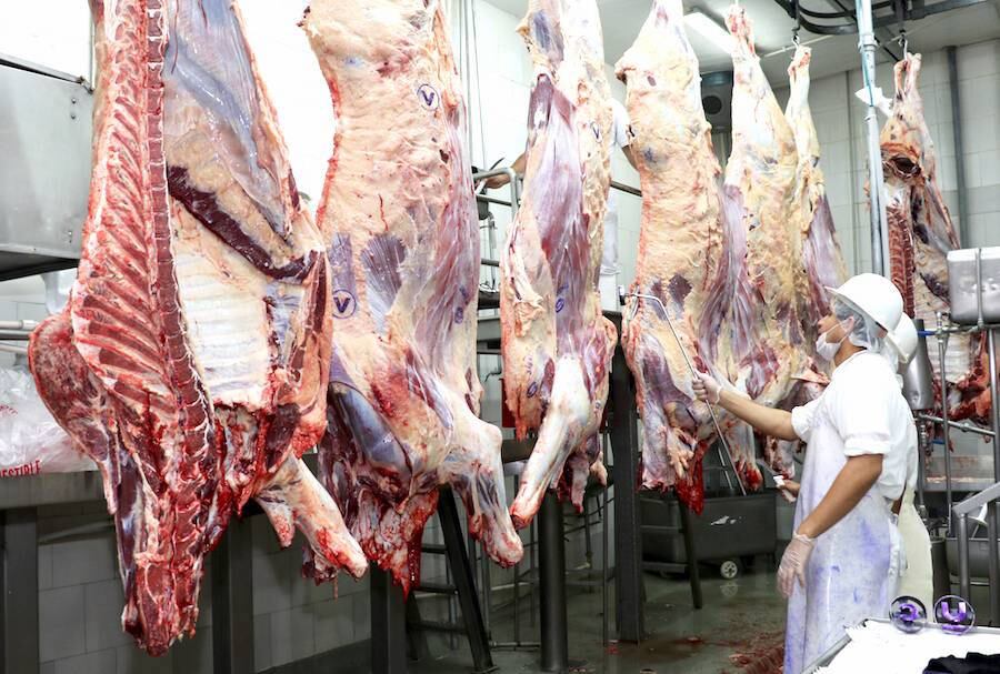 Los ingresos generados por la exportación de carne vacuna en enero ascendieron a US$ 110 millones, pero en volumen se observa una caída. Foto: Archivo.