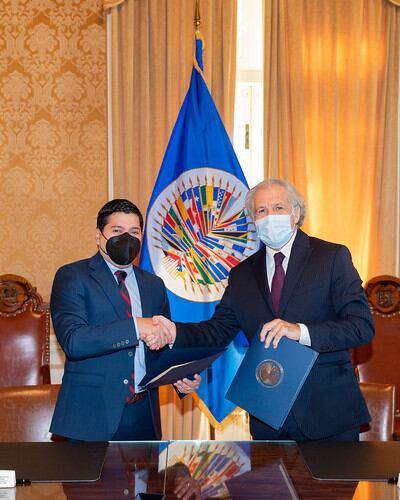 La Misión de Observación Electoral de la OEA mantendrá reuniones con autoridades y políticos; observará la jornada electoral y posteriormente emitirá un informe final con recomendaciones. Foto: Gentileza.