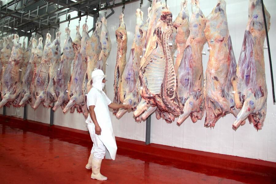 Los envíos de la carne bovina a Rusia se suspendieron a raíz del conflicto bélico desatado por Rusia contra Ucrania, que trajeron sanciones económicas a Rusia. Foto: Archivo.