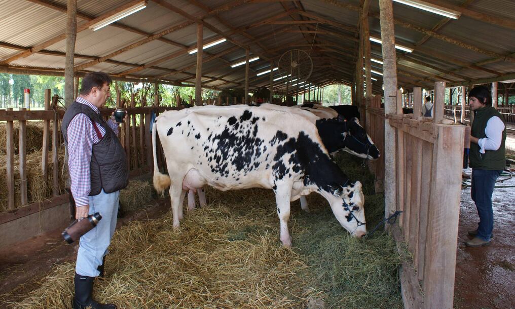El presidente de la Asociación de Productores de Leche y Criadores de Razas Lecheras (Aprole), Hugo Kheler, mencionó que la producción aumentó en algunos tambos pero sigue siendo muy baja. Foto: Archivo.