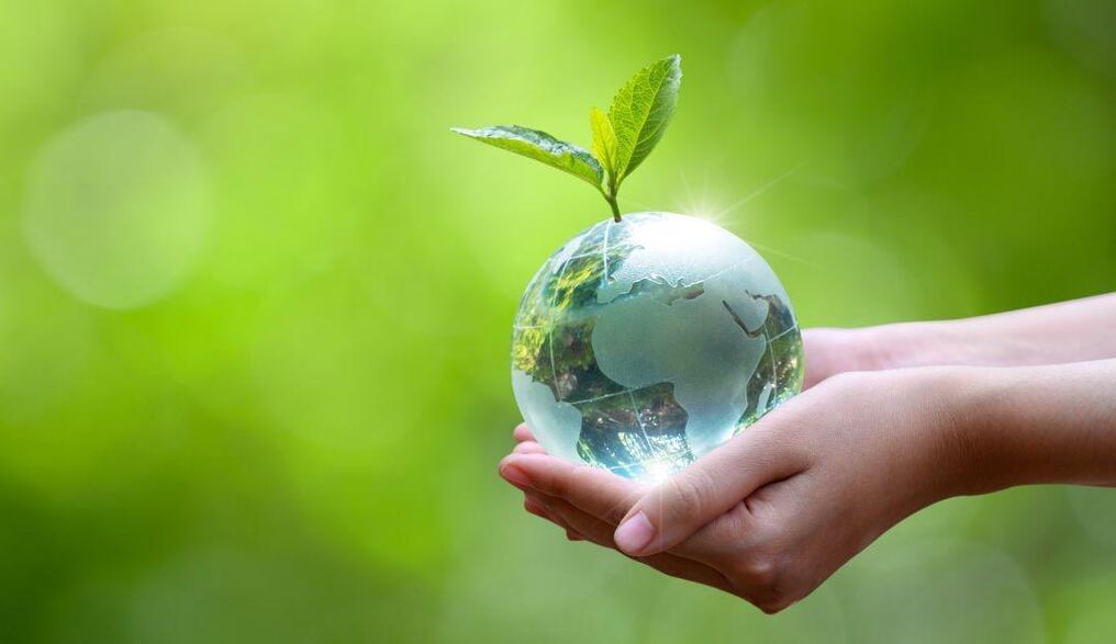Esta fecha fue destinada para generar consciencia sobre el cuidado del medioambiente y las consecuencias de los cambios provocados por el hombre en la naturaleza. Foto: Ilustrativa/Getty Images.