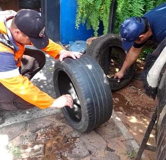 Recordaron que una mínima cantidad de agua es suficiente para que el mosquito transmisor de estas enfermedades pueda depositar sus huevos y multiplicarse. Foto: Gentileza.