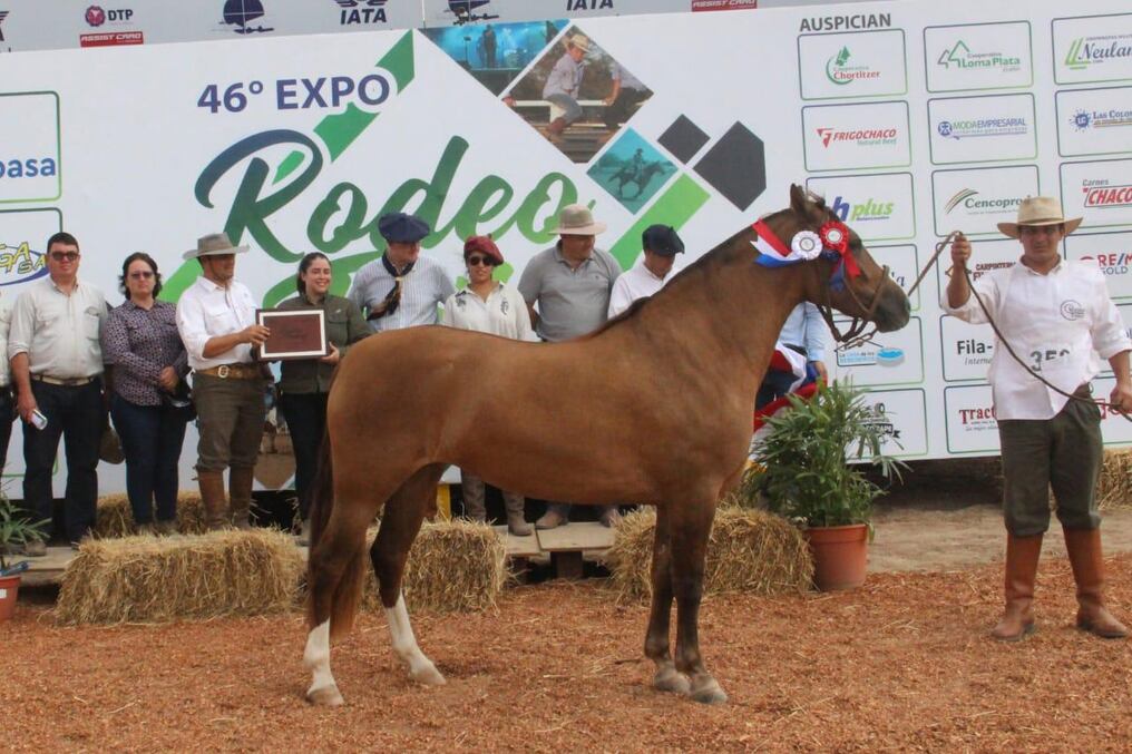 Gran campeona: Rp 566 Indira de Chajhá, de padres Carreta Cardo y Bien Haiga Bandido. Foto: Gentileza. 