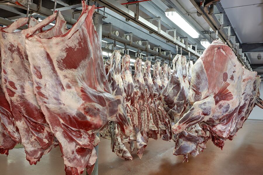 Durante los últimos meses, en especial junio y julio, se había registrado una caída de 8,2% en las compras chilenas de carne paraguaya. Foto: Archivo.
