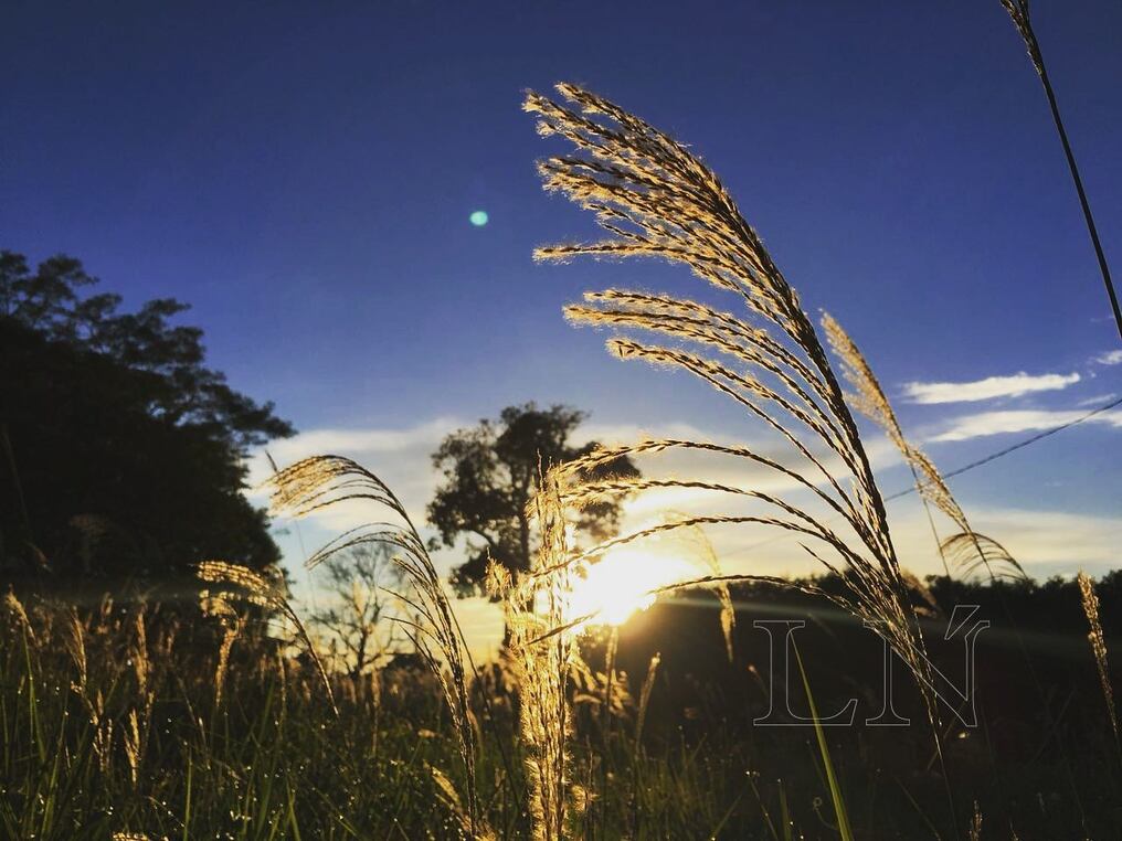 El día se presentará soleado y con vientos predominantes del Sur, cielo escasamente nublado y una temperatura máxima de 30 ºC. Foto: Archivo.