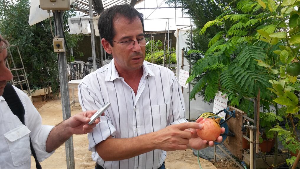 Un profesor de un centro de investigación tecnológica aplicado al agro explica detalles relacionados a los avances genéticos en cultivos creados en Israel. Foto: Juan Carlos dos Santos.