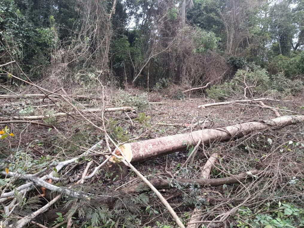 El abogado de los afectados, Fabian López, detalló que la propiedad que cuenta con 4.263 hectáreas, de las cuales existen 1.300 hectáreas de bosque aproximadamente, fue invadida el pasado mes de agosto. Foto: Gentileza.