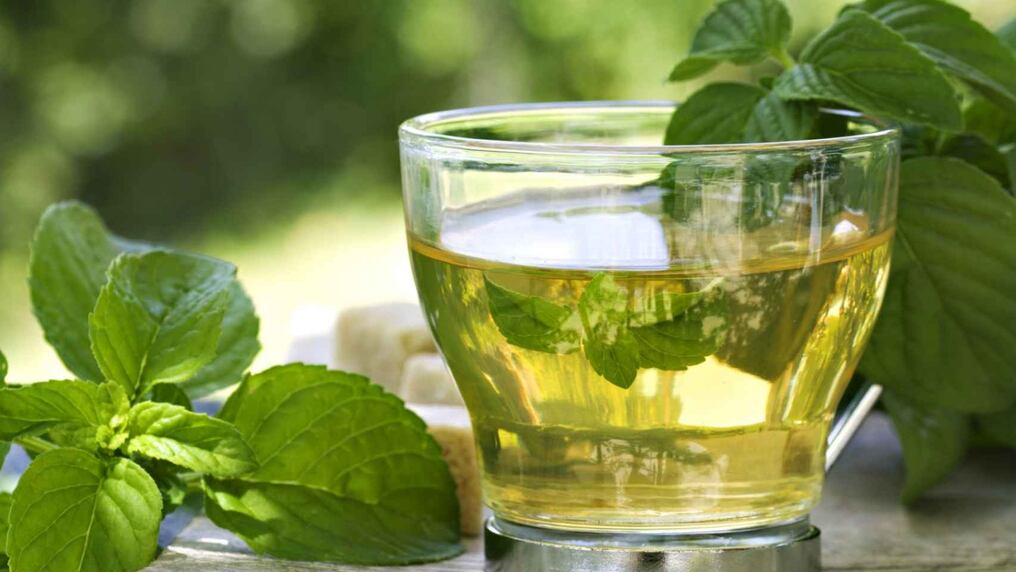 Beneficios de tomar té verde después del entrenamiento