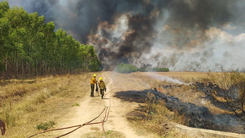 La municipalidad tomó la decisión debido a las llamas de gran magnitud que se registran en la zona, mientras más bomberos van sumándose para combatirlas. Foto: Gentileza.