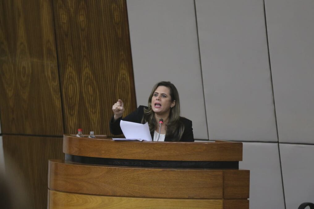 Populista, sinvergüenza, vendehúmo, prepotente y mal educada, fueron algunos de los calificativos que los usuarios de redes sociales utilizaron para referirse a la diputada del Encuentro Nacional. Foto: Pánfilo Leguizamón.