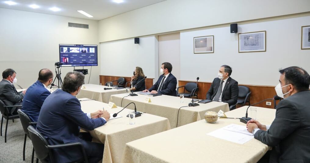 Representantes del Ministerio de Hacienda se reunieron de manera virtual con sus pares del PNUD. Foto: Gentileza.