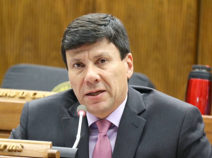 Walter Harms afirmó que Zully Rolón debe ser removida rápidamente de su puesto como titular de la Senad. Foto: Archivo.
