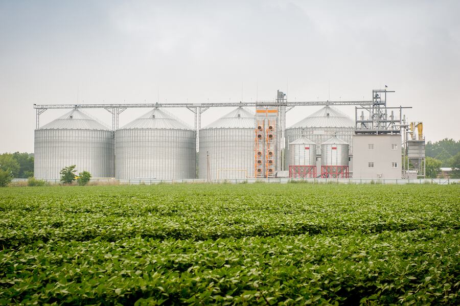 Según el último boletín de la Cappro, las divisas generadas por la exportación de soja alcanzaron US$ 1.680 millones hasta el mes de junio, lo cual representa 26% menos en comparación al mismo lapso del año pasado. Foto: Archivo.