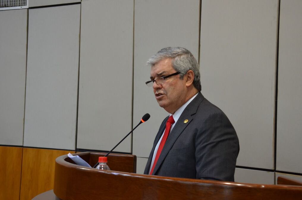 El legislador presentó 10 puntos que considera primordiales en su eventual trabajo ante la Organización de Estados Americanos (OEA). Foto: Gentileza.