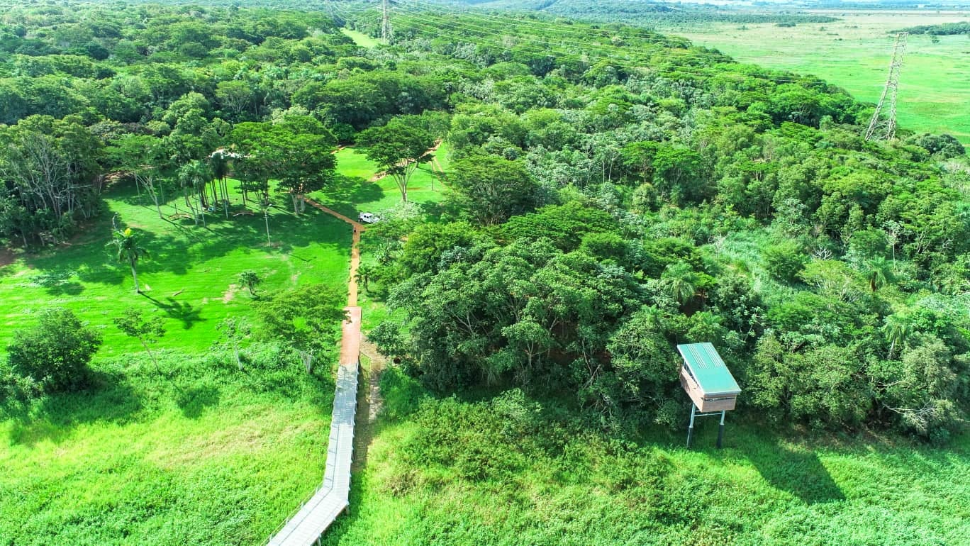 Unas 241 parcelas distribuidas a lo largo de la franja de protección del embalse de Itaipu. Foto: Gentileza.