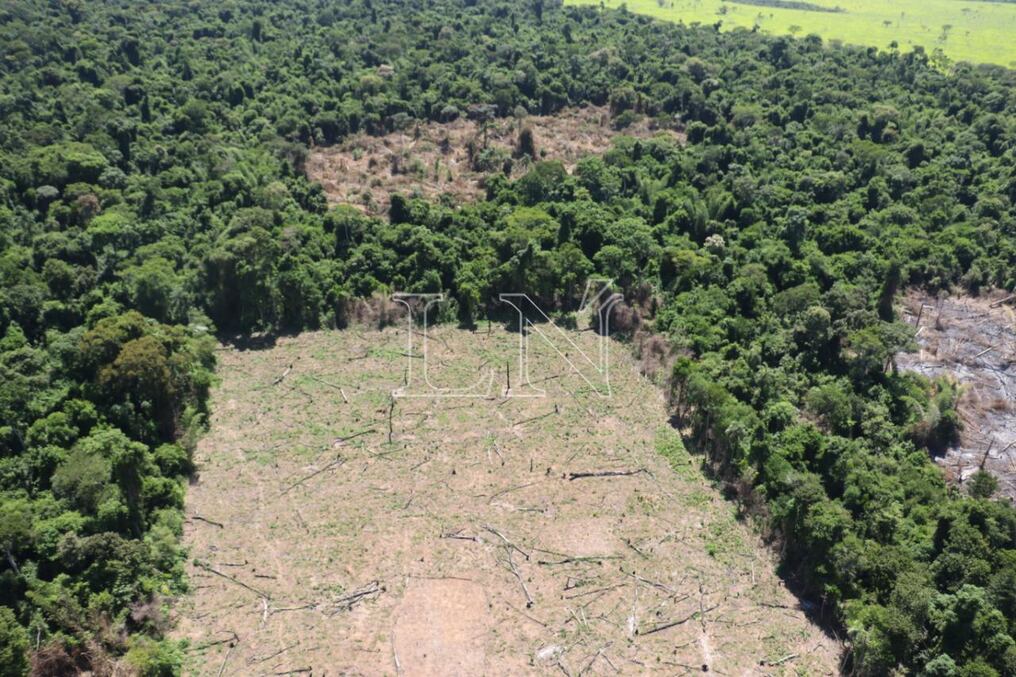 En la Reserva Morombí, la situación es realmente alarmante en cuanto a la deforestación para plantación de marihuana. Foto: Pánfilo Leguizamón