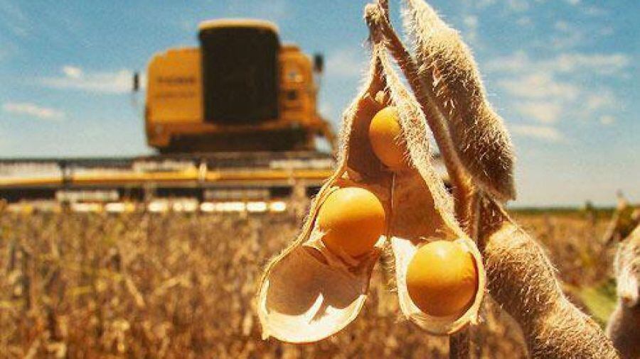 El ministro de Agricultura y Ganadería, Moisés Santiago Bertoni, resaltó que los sectores agrícola y pecuaria están atravesando por un buen momento luego de los complicados periodos de sequía. Foto: Archivo