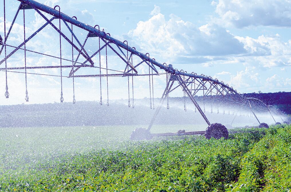 En Paraguay se emplea la transferencia de conocimientos israelí en el uso de tecnología para la agricultura como los sistemas de riego por pivotes o goteo, que aseguran el rendimiento y estabilidad en las cosechas. Foto: Ilustrativa.