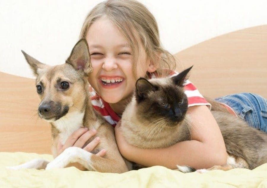 Primera mascota: Lo que hay que tener en cuenta