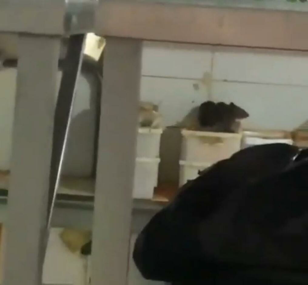 Cansado de todos estos abusos por parte de este conglomerado, Kevin Houston y su familia decidió mostrar la situación por la que están pasando. Actualmente el contrato con el grupo está vencido y están llevando acabo el proceso de desalojo. Foto: Captura pantalla.