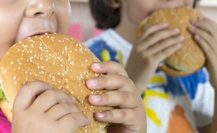 La obesidad es un problema de salud pública como enfermedad crónica y requiere de la intervención de especialistas para un buen seguimiento de cada caso. Foto: Ilustrativa.