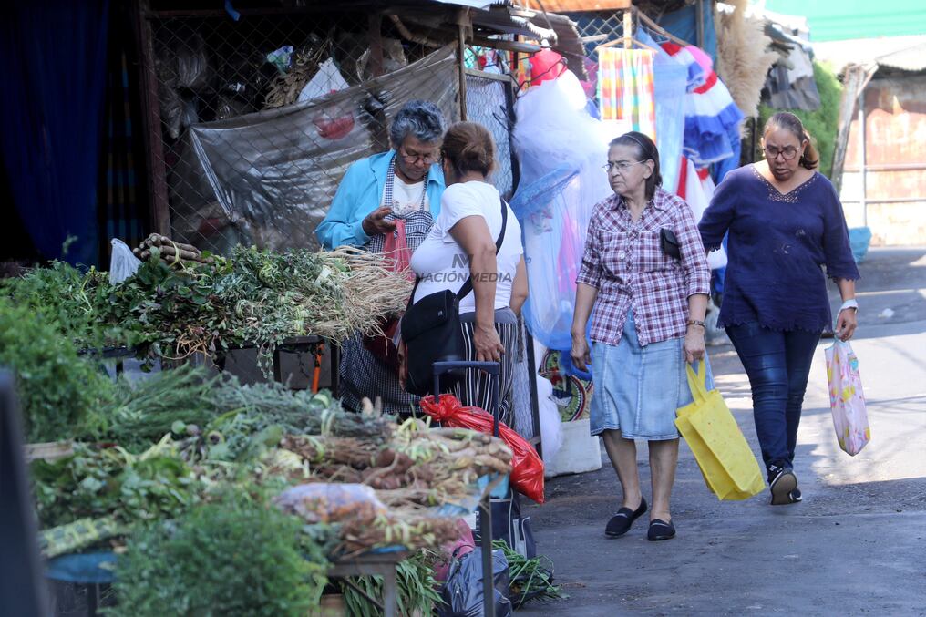 Mañana desde las 9:00, el Paseo de los Yuyos, ubicado en el Mercado Municipal N° 4 de Asunción sobre Rca. Francesa casi Pettirossi, se viste de fiesta para celebrar el Día Nacional del Tereré. Foto: Emilio Bazán.