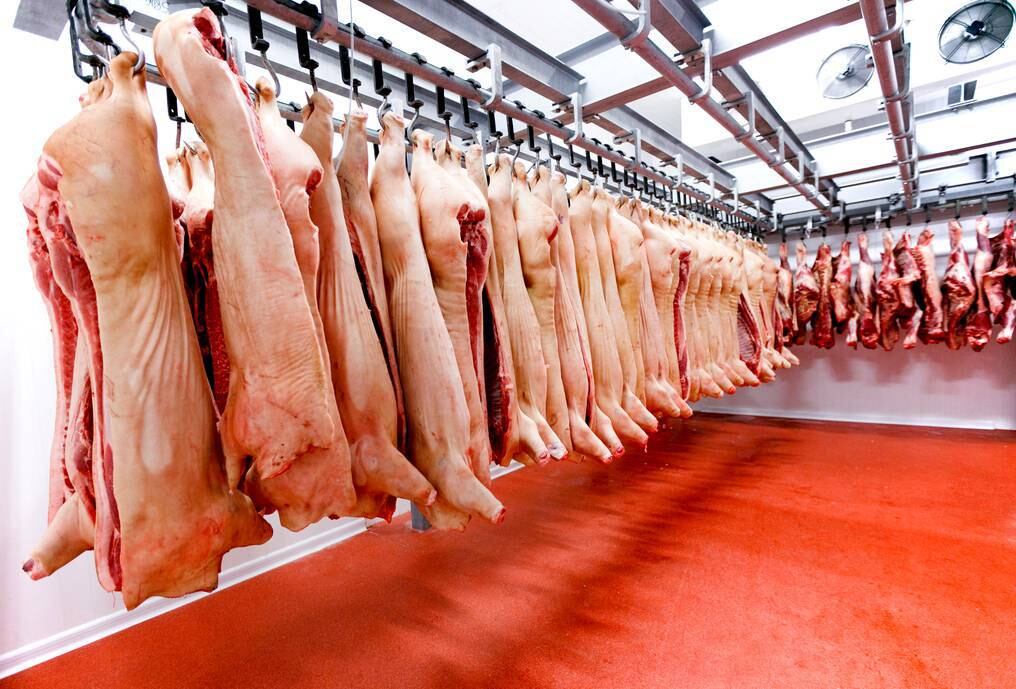 En cuanto al volumen exportado, se observa un aumento del volumen exportado cercano al 87%, mientras que en el ingreso de divisas fue el crecimiento fue del 97%. Foto: Archivo.