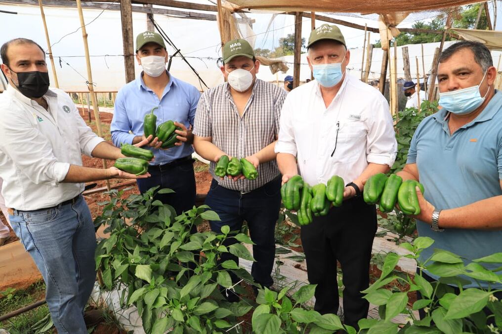 El titular del MAG comentó que la política es seguir acompañando a cada productor con tecnificación, asistencia técnica, entrega de insumos y eso es lo que lo vienen realizando. Foto: Gentileza