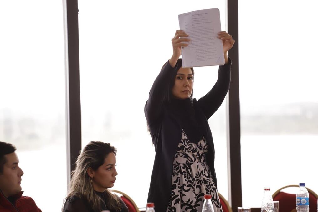 Una abogada realizó la denuncia contra el senador del Frente Guasu sobre una supuesta manipulación en las plataformas informativas del Congreso. Foto: Gentileza.