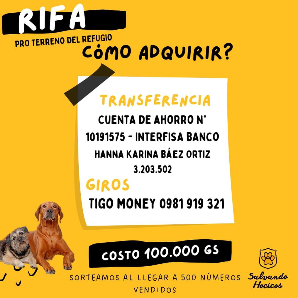 Foto: Gentileza.