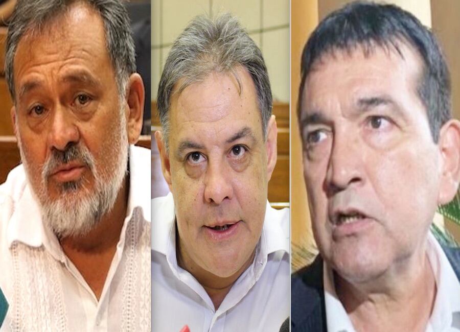 Los senadores Sixto Pereira, Hugo Richer y Pedro Santacruz fueron denunciados por el gremio de productores por instigar a las ocupaciones ilegales de propiedades privadas. Foto: Archivo