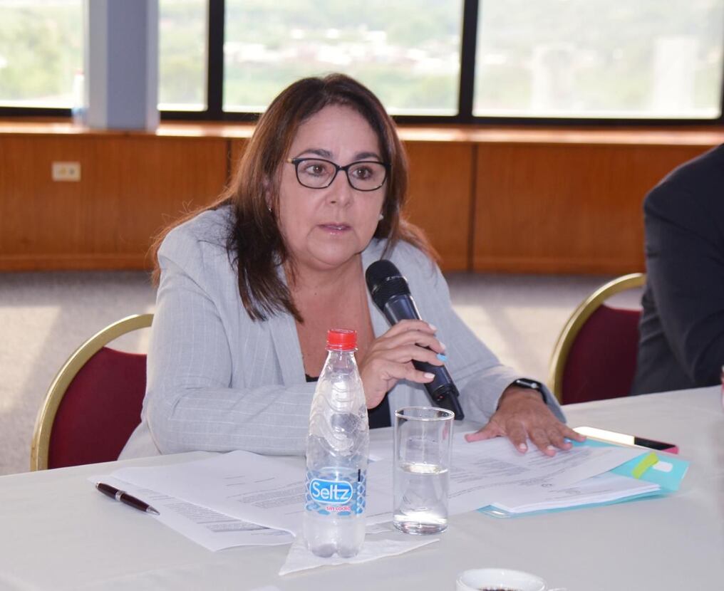 El proyecto de ley presentado por la senadora Georgia Arrúa busca asignar a residencias especializadas el cuidado de niños y adolescentes con cuadros médicos o con problemas de adicciones. Foto: Gentileza.