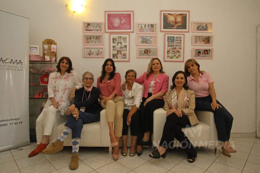 Betsy Escobar, Lilita Romero Pereira, Lira Giménez, Nelly Jara Avelli, Maggi Bertolo Casañas, María Eugenia Giménez y Vicky Valiente son el alma de la Asociación de Mujeres de Apoyo contra el Cáncer de Mama (Amacma).