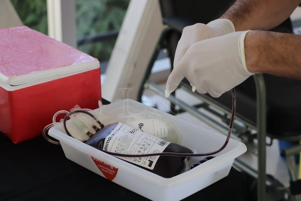 Instan a donar sangre ya que es una forma sencilla de ayudar. Foto Archivo.