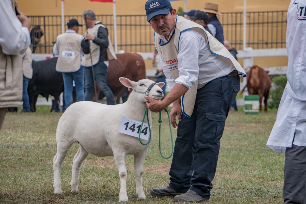 Los profesionales hablarán sobre los diferentes ciclos del animal, de la rentabilidad de los cortes que son bastante aceptados actualmente en el mercado. Foto: Gentileza.