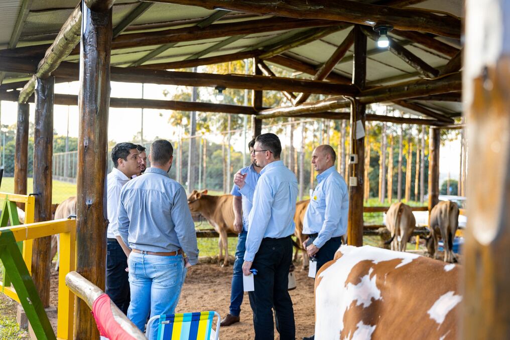 El domingo será la exposición de animales en el Agrofest 2023. Foto: Gentileza.