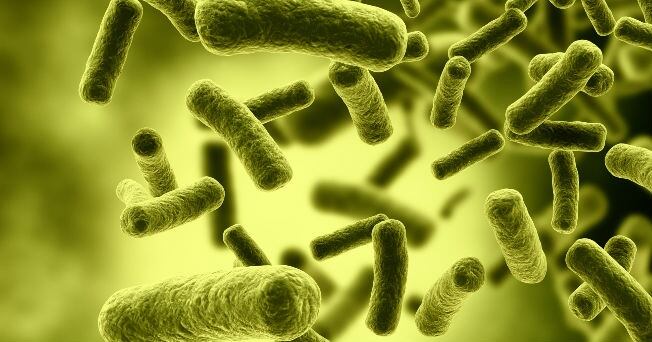 Un grupo de científicos chilenos descubrió en la Antártida una veintena de especies desconocidas de bacterias híper resistentes a los antibióticos, que pueden traspasar su poder de resistencia a otros microorganismos y generar con ello un riesgo para la salud global. Foto de Ilustrativa.