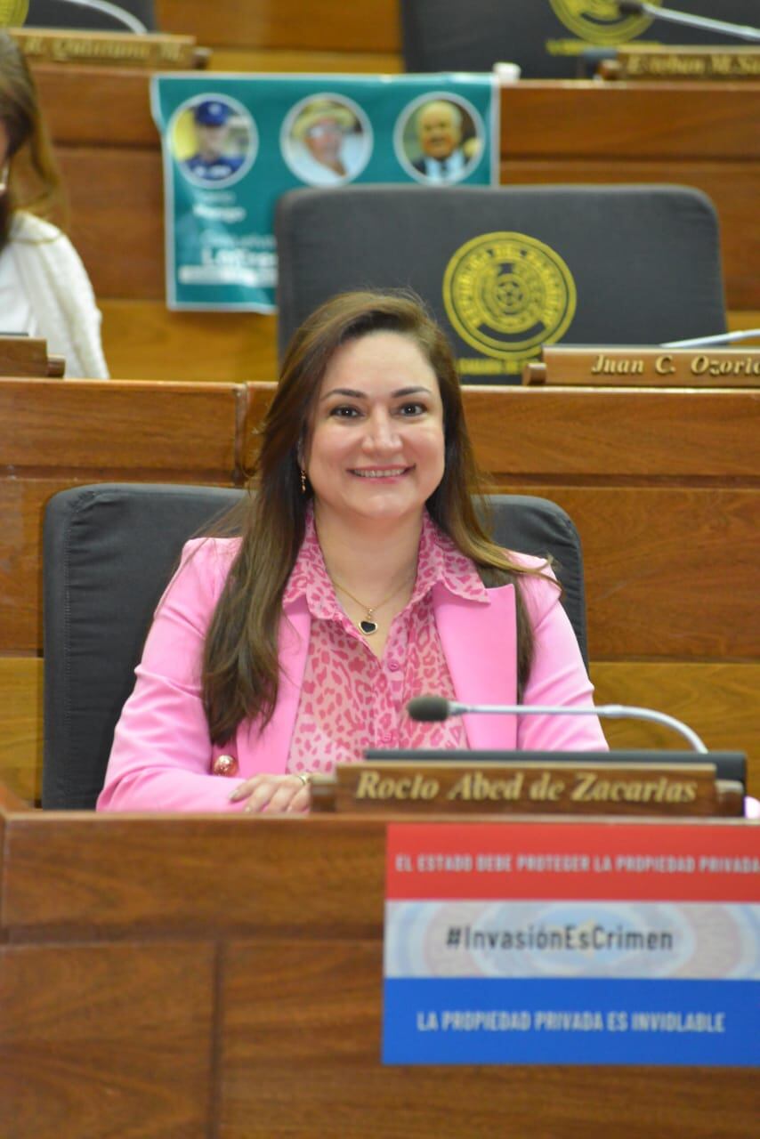 Diputada Rocío Abed. Foto: Gentileza.