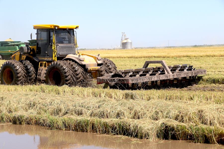 Los trabajos del campo no esperan y tienen su tiempo, por lo que es necesario que se apresuren los procesos en las instituciones para no perder el año agrícola, sostienen. Foto: Archivo.
