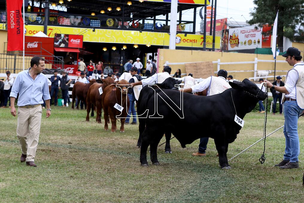 Solo en las dos ferias de Brangus, el remate reproductores a campo y junior alta selección ya generó negocios por más de G. 2.300 millones. Foto: Néstor Soto.