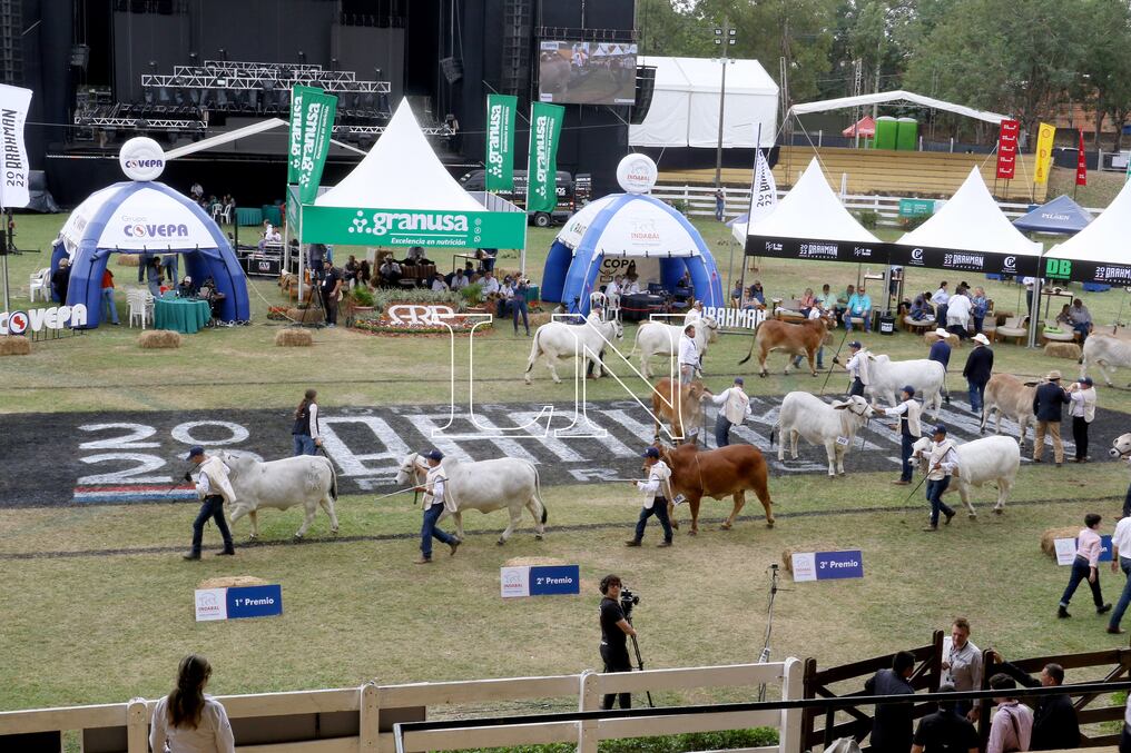 La Asociación Paraguaya de Criadores de Brahman invita a un día para disfrutar de música, actividades y cortes de carne de alta calidad. Foto: Néstor Soto.