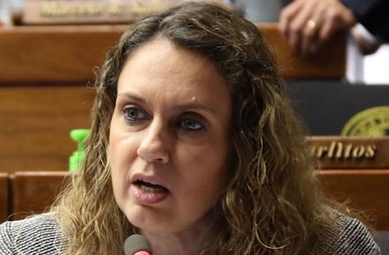 Rocío Vallejo, diputada, señaló que Mazzoleni debe seguir hasta que pase la tormenta. Foto: Archivo.