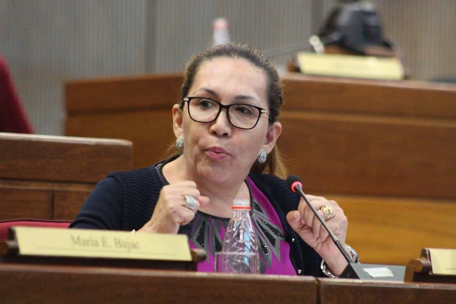 Hoy en día “los paraguayos esperan otra cosa de los señores senadores, no hacer un blanqueo”, recriminó la legisladora liberal. Foto: Archivo