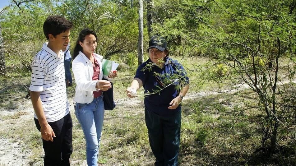 Nélida Soria, tomando muestras en distintas regiones del país para enriquecer el herbario.