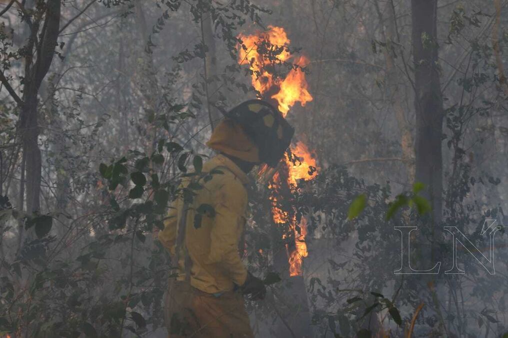 Bomberos valoran la mayor conciencia de la ciudadanía, ya que considera este año más tranquilo. Foto: Christian Meza.