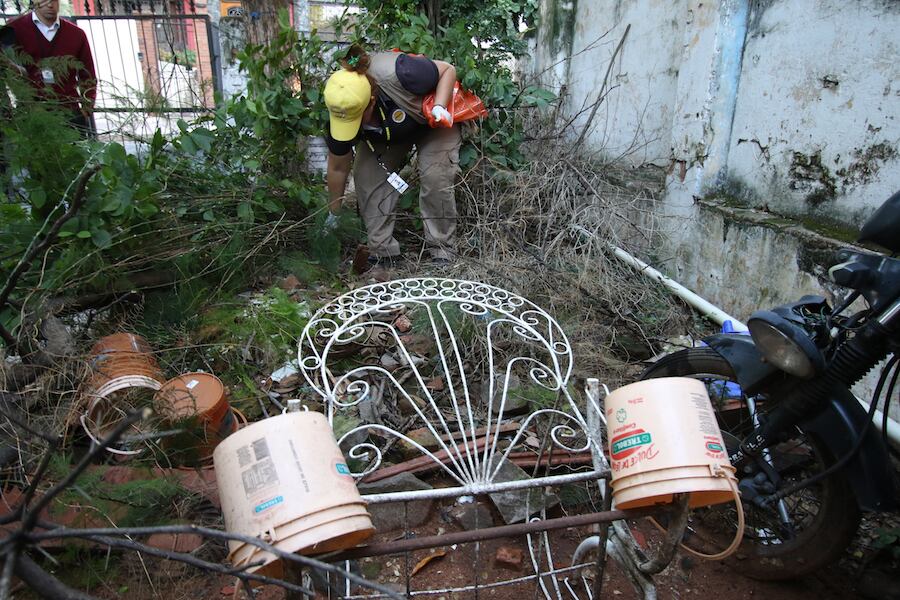 Un grupo de profesionales ofrece asesoramiento gratuito para denunciar casos de propiedades con criaderos del mosquito transmisor del dengue. Foto: Archivo.