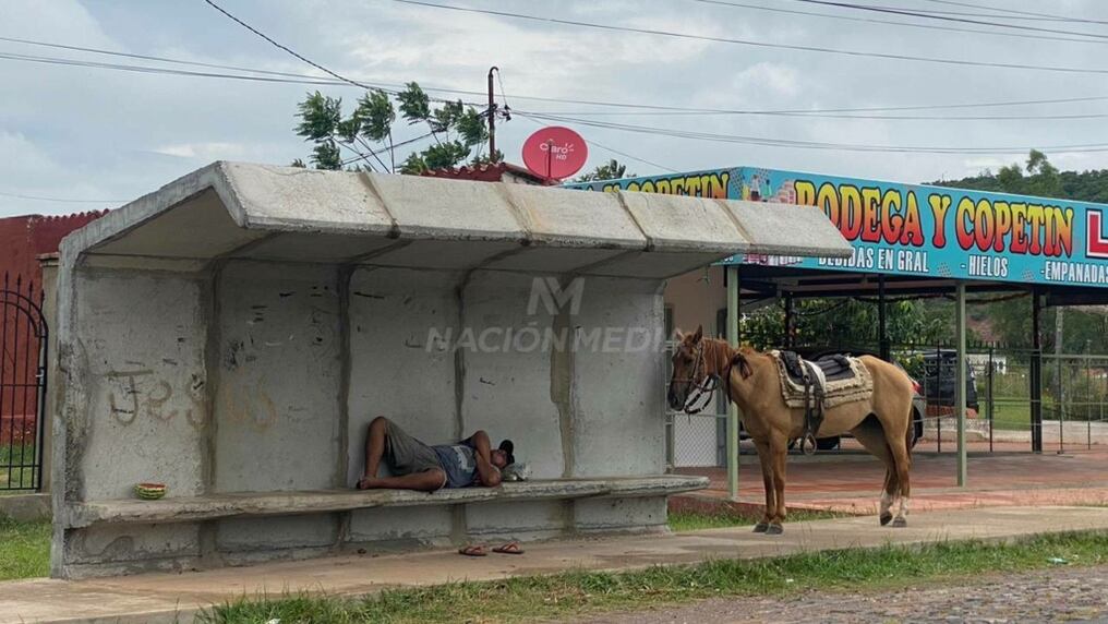 Un hombre durmió con su caballo al lado en la parada de colectivo. Foto: Carlos Juri.