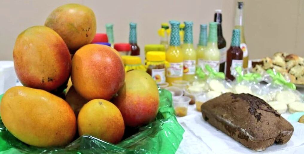 En el festival gastronómico se podrá disfrutar de una variedad de postres, licores, licuados entre otros, todo a base de la popular fruta del mango. Foto: Gentileza.
