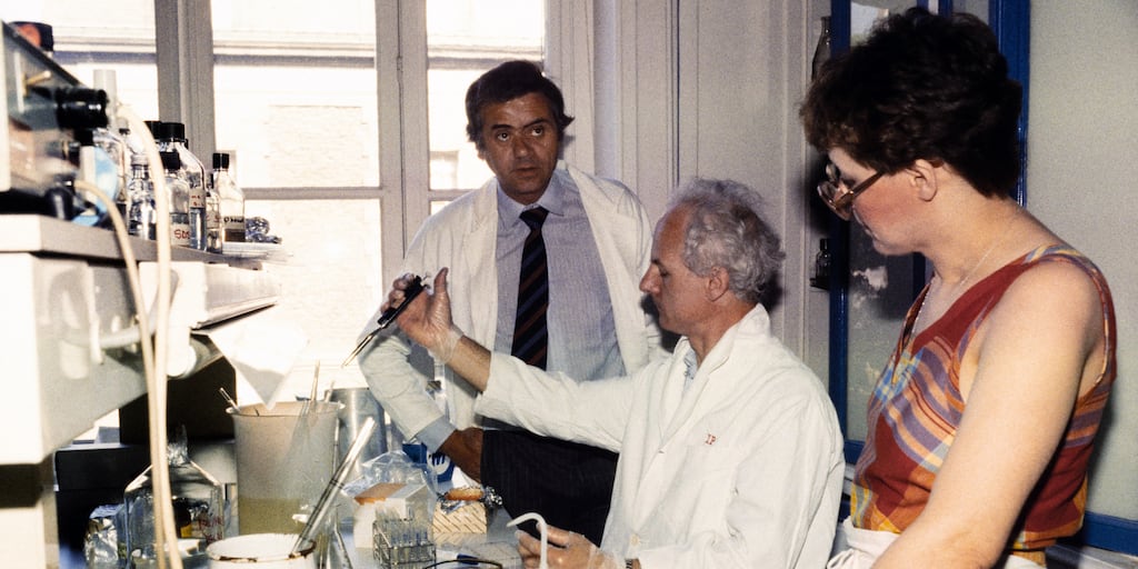 La Nación / A 40 años del descubrimiento del virus del sida